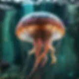 Majestic Jellyfish gracefully gliding through the water