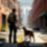 Canine Training in Urban Setting