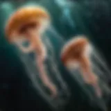 Captivating Jellyfish Dance at Seattle Sea Aquarium