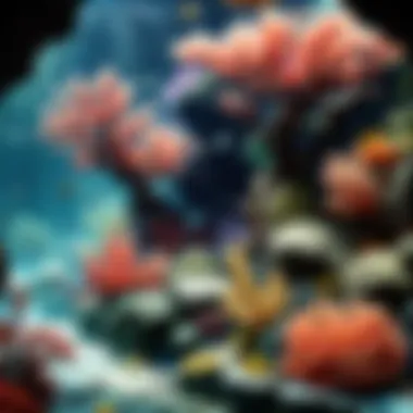 Colorful coral reef teeming with marine life at Seattle Aquarium
