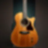 Elegant Taylor Guitar Showcase