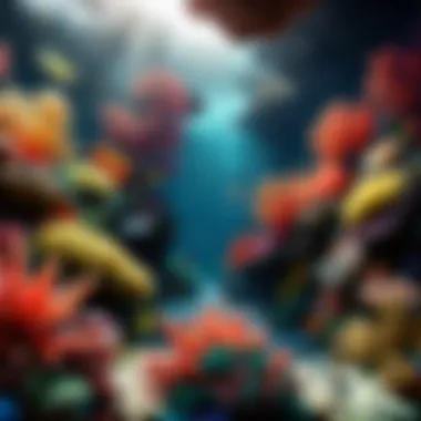 Colorful Coral Reef Oasis