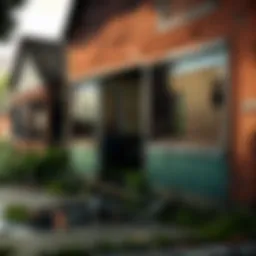 Suburban Decay in The Last of Us Universe